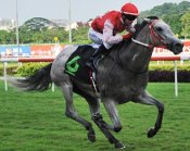 Arowana Dot Com<br>Photo by Singapore Turf Club